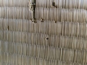 畳に付着したシバンムシの跡