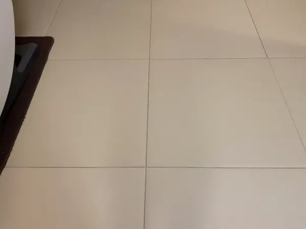 施工後のわんにゃんスマイル畳