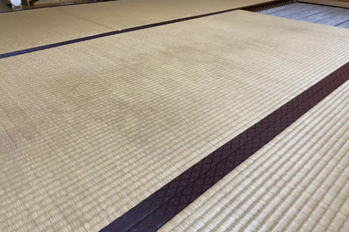 カビが生えた中敷きの畳