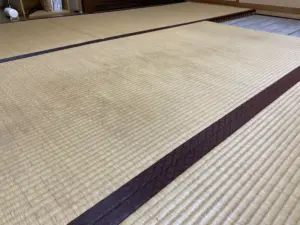 カビが生えた中敷きの畳