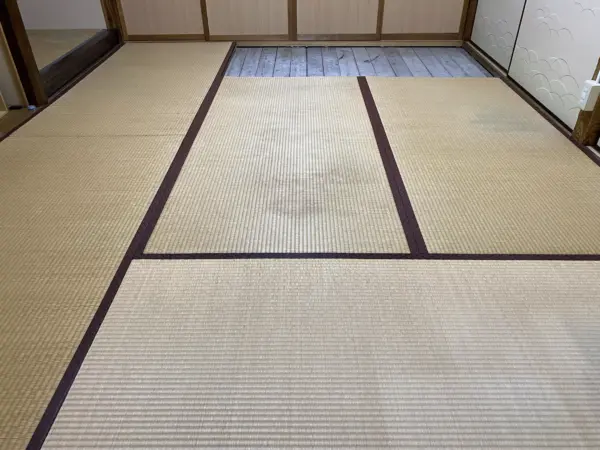 中敷きと川中にカビが生えた古畳