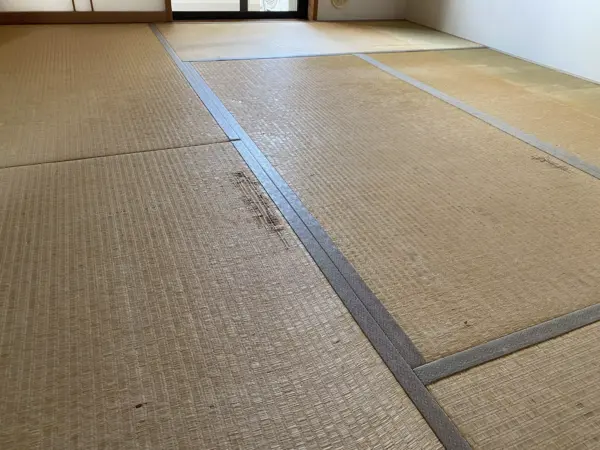 施工前の破れた畳
